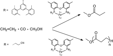 Graphical abstract: New diphosphine ligands based on diphenyl ether for the Pd-catalyzed CO/ethene copolymerization