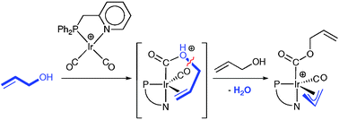 Graphical abstract: A new method for the conversion of allyl alcohol into π-allyl species promoted by nucleophilic interaction with a CO ligand