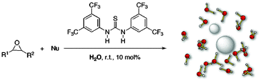 Graphical abstract: Hydrophobic amplification of noncovalent organocatalysis