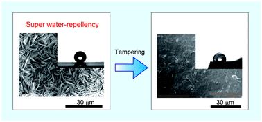 Graphical abstract: Formation mechanism of fractal structures on wax surfaces with reference to their super water-repellency