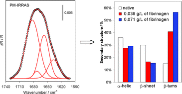 Graphical abstract: Adsorption of fibrinogen on a biomedical-grade stainless steel 316LVM surface: a PM-IRRAS study of the adsorption thermodynamics, kinetics and secondary structure changes