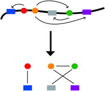 Graphical abstract: Long-range chromosomal interactions and gene regulation