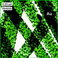 Graphical abstract: Adding new functions to organic semiconductor nanowires by assembling metal nanoparticles onto their surfaces