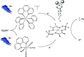 Graphical abstract: Efficient H2-producing photocatalytic systems based on cyclometalated iridium- and tricarbonylrhenium-diimine photosensitizers and cobaloxime catalysts