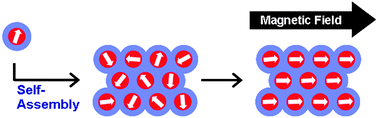 Graphical abstract: Magnetically-responsive self assembled composites