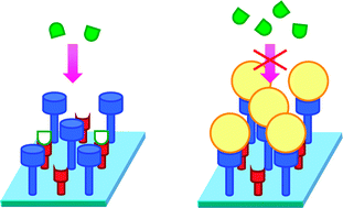 Graphical abstract: Chromo-fluorogenic sensing of pyrophosphate in aqueous media using silica functionalised with binding and reactive units