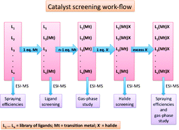 Graphical abstract: Rapid screening of atom transfer radical polymerization catalysts by electrospray ionization mass spectrometry