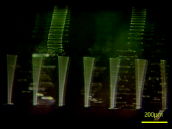 Graphical abstract: Bio-mimetic silicone cilia for microfluidic manipulation