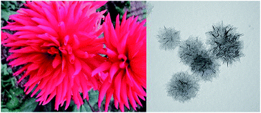 Graphical abstract: Efficient functionalization of carbon nanohornsvia microwave irradiation