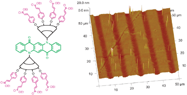 Graphical abstract: Site-isolated, intermolecularly photocrosslinkable and patternable dendritic quinacridones