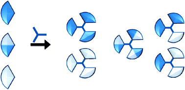 Graphical abstract: Synthesis and characterisation of polyamidedendrimers with systematically varying surface functionality