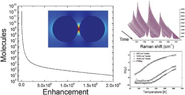 Graphical abstract: Towards a metrological determination of the performance of SERS media