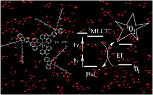 Graphical abstract: An ethylene-glycol decorated ruthenium(ii) complex for two-photon photodynamic therapy