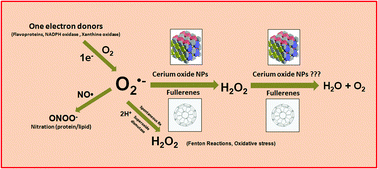 Graphical abstract: Redox-active radical scavenging nanomaterials
