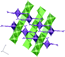 Graphical abstract: Unprecedented coordination modes for PDC (pyridine-2,5-dicarboxylate) in polymorphic 3D heterobimetallic compounds α- and β-[MNa2(PDC)2(H2O)4], with M = Ni, Co