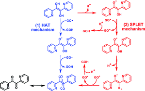 Graphical abstract: Antioxidant activity of α-pyridoin and its derivatives: possible mechanism