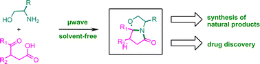 Graphical abstract: Solvent-free microwave-assisted Meyers’ lactamization