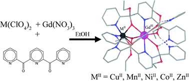Graphical abstract: Isomorphous replacement of MII ions in MII–GdIII dimers (MII = CuII, MnII, NiII, CoII, ZnII): magnetic studies of the products