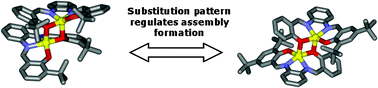 Graphical abstract: Self-assembly of Zn(salphen) complexes: Steric regulation, stability studies and crystallographic analysis revealing an unexpected dimeric 3,3′-t-Bu-substituted Zn(salphen) complex