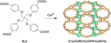 Graphical abstract: Rational synthesis of a microporous metal–organic framework with PtS topology using a semi-rigid tetrahedral linker