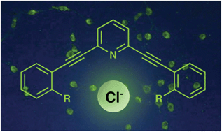 Graphical abstract: Arylethynyl receptors for neutral molecules and anions: emerging applications in cellular imaging