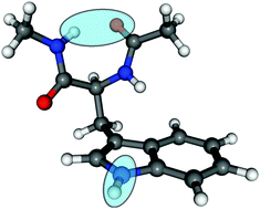 Graphical abstract: Role of excited-state hydrogen detachment and hydrogen-transfer processes for the excited-state deactivation of an aromatic dipeptide: N-acetyl tryptophan methyl amide
