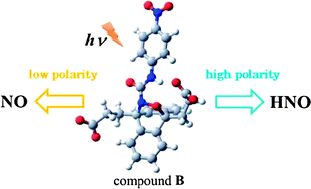 Graphical abstract: Alternative photoinduced release of HNO or NO from an acyl nitroso compound, depending on environmental polarity
