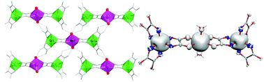 Graphical abstract: Synthesis, crystal structure and magnetic properties of two oxalato-bridged dimetallic trinuclear complexes combined with a polar cation
