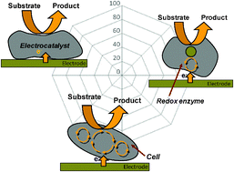 Graphical abstract: From MFC to MXC: chemical and biological cathodes and their potential for microbial bioelectrochemical systems
