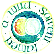 Graphical abstract: CO2: a wild solvent, tamed