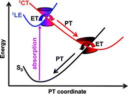 Graphical abstract: Molecular mechanisms of the photostability of life