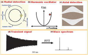 Graphical abstract: Fourier transform mass spectrometry for metabolome analysis