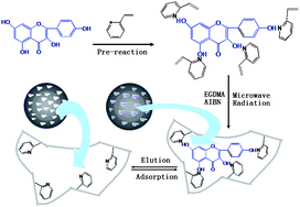 Graphical abstract: Development and characterization of molecularly imprinted polymer microspheres for the selective detection of kaempferol in traditional Chinese medicines