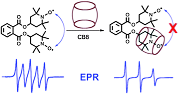 Graphical abstract: Suppression of spin–spin coupling in nitroxyl biradicals by supramolecular host–guest interactions