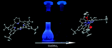Graphical abstract: A porphyrin-related macrocycle from carbazole and pyridine building blocks: synthesis and metal coordination