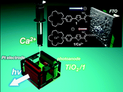 Graphical abstract: A new recognition concept using dye sensitized solar cell configuration