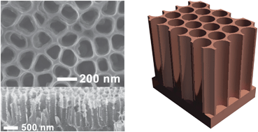 Graphical abstract: Polypyrrole self-organized nanopore arrays formed by controlled electropolymerization in TiO2 nanotube template
