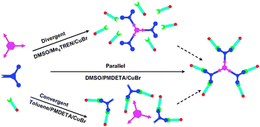 Graphical abstract: Directing the pathway of orthogonal ‘click’ reactions by modulating copper-catalytic activity