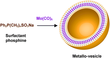 Graphical abstract: Formation of vesicles with an organometallic amphiphile bilayer by supramolecular arrangement of metal carbonyl metallosurfactants
