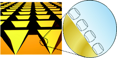 Graphical abstract: Raman and SERS spectroscopy of cucurbit[n]urils