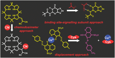 Graphical abstract: Chromogenic and fluorogenic chemosensors and reagents for anions. A comprehensive review of the year 2009