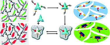 Graphical abstract: Recent advances in molecular imprinting technology: current status, challenges and highlighted applications