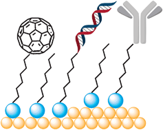 Graphical abstract: The molecular level modification of surfaces: from self-assembled monolayers to complex molecular assemblies