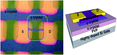 Graphical abstract: Fabrication of micropatterned ferroelectric gamma poly(vinylidene fluoride) film for non-volatile polymer memory