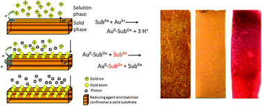 Graphical abstract: A novel electroless method for the deposition of single-crystalline gold nanocrystals on and inside an organic solid-matrix