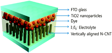 Graphical abstract: Transferred vertically aligned N-doped carbon nanotube arrays: use in dye-sensitized solar cells as counter electrodes
