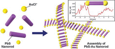 Graphical abstract: Synthesis and metallic probe induced conductance of Au tipped ultranarrow PbS rods