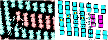 Graphical abstract: Little exchange at the liquid/solid interface: defect-mediated equilibration of physisorbed porphyrin monolayers