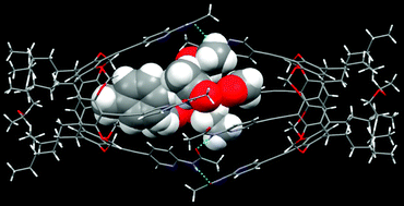 Graphical abstract: Hydrogen-bond driven assembly of a molecular capsule facilitated by supramolecular chelation