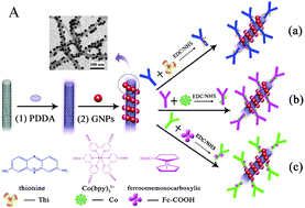 Graphical abstract: Simultaneous electrochemical immunoassay of three liver cancer biomarkers using distinguishable redox probes as signal tags and gold nanoparticles coated carbon nanotubes as signal enhancers